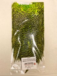 Saddle Grizzly para Streamer - Chartreuse